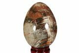 Colorful, Polished Petrified Wood Egg - Madagascar #172528-1